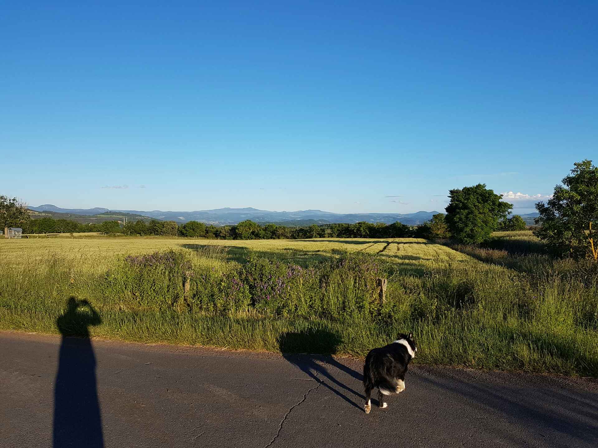 Bibi et le ciel bleu