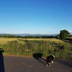 Bibi et le ciel bleu