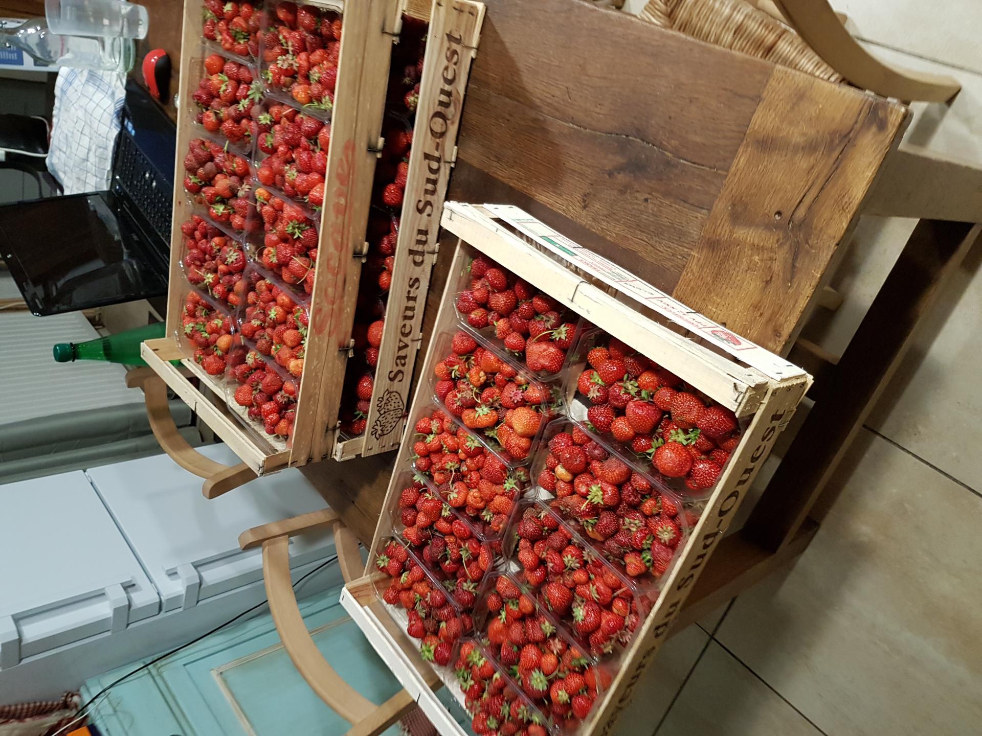 Fraise