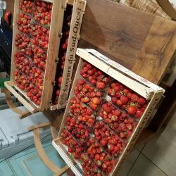 Fraise