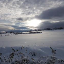 Neige 3