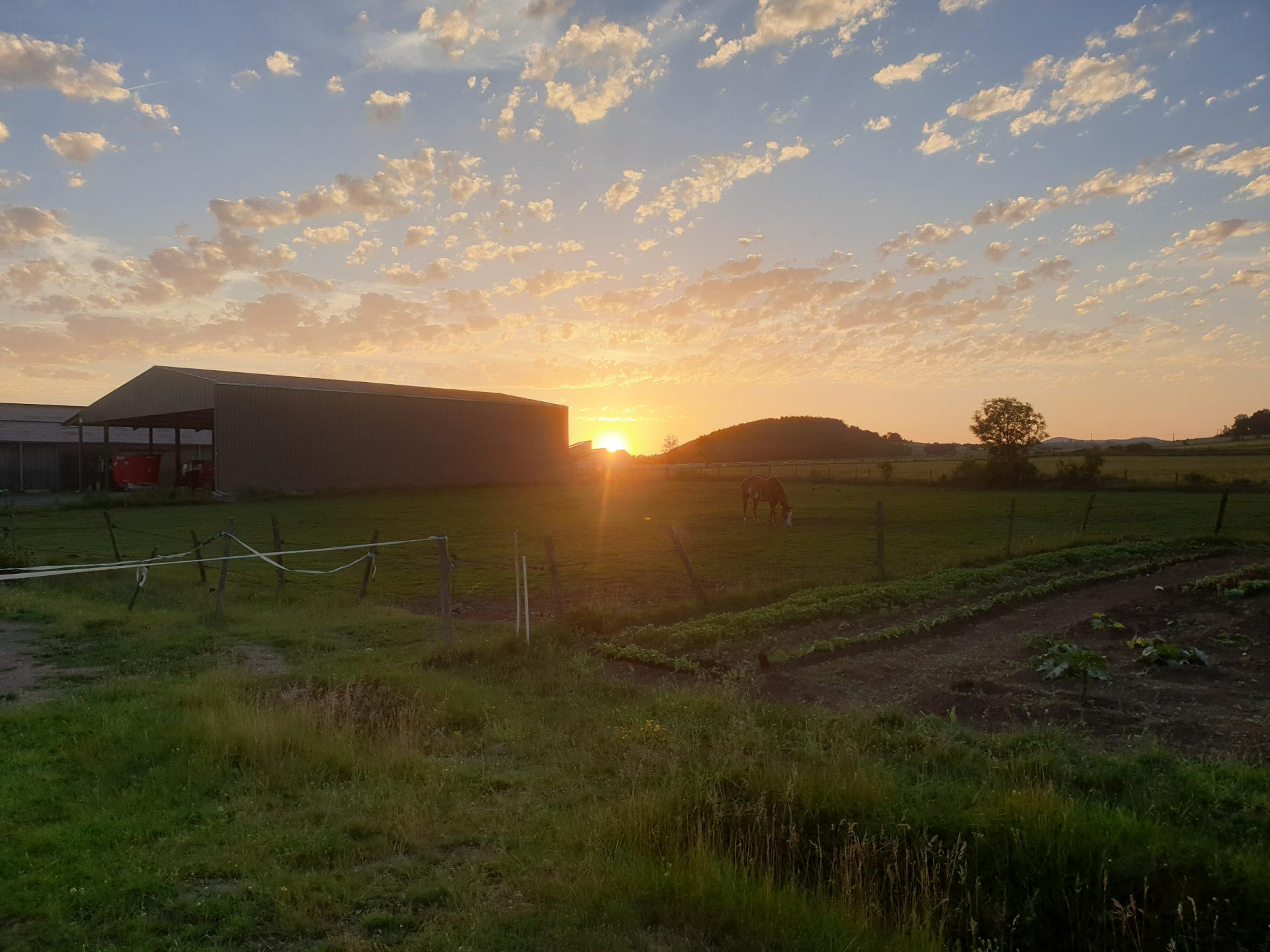 Sockette coucher de soleil